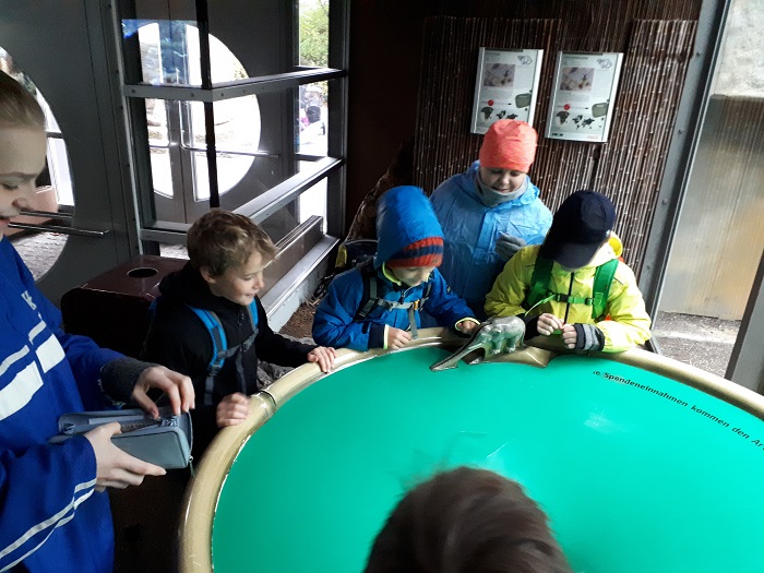 Gruppe im Tierpark